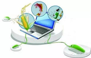 你农我农 互联网销售模式重塑农产品产业生态